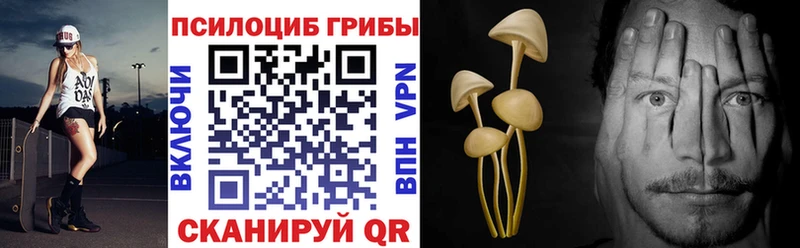 Галлюциногенные грибы GOLDEN TEACHER Черняховск